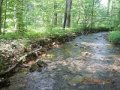fowlers hollow.Laural run 06-09-14 098